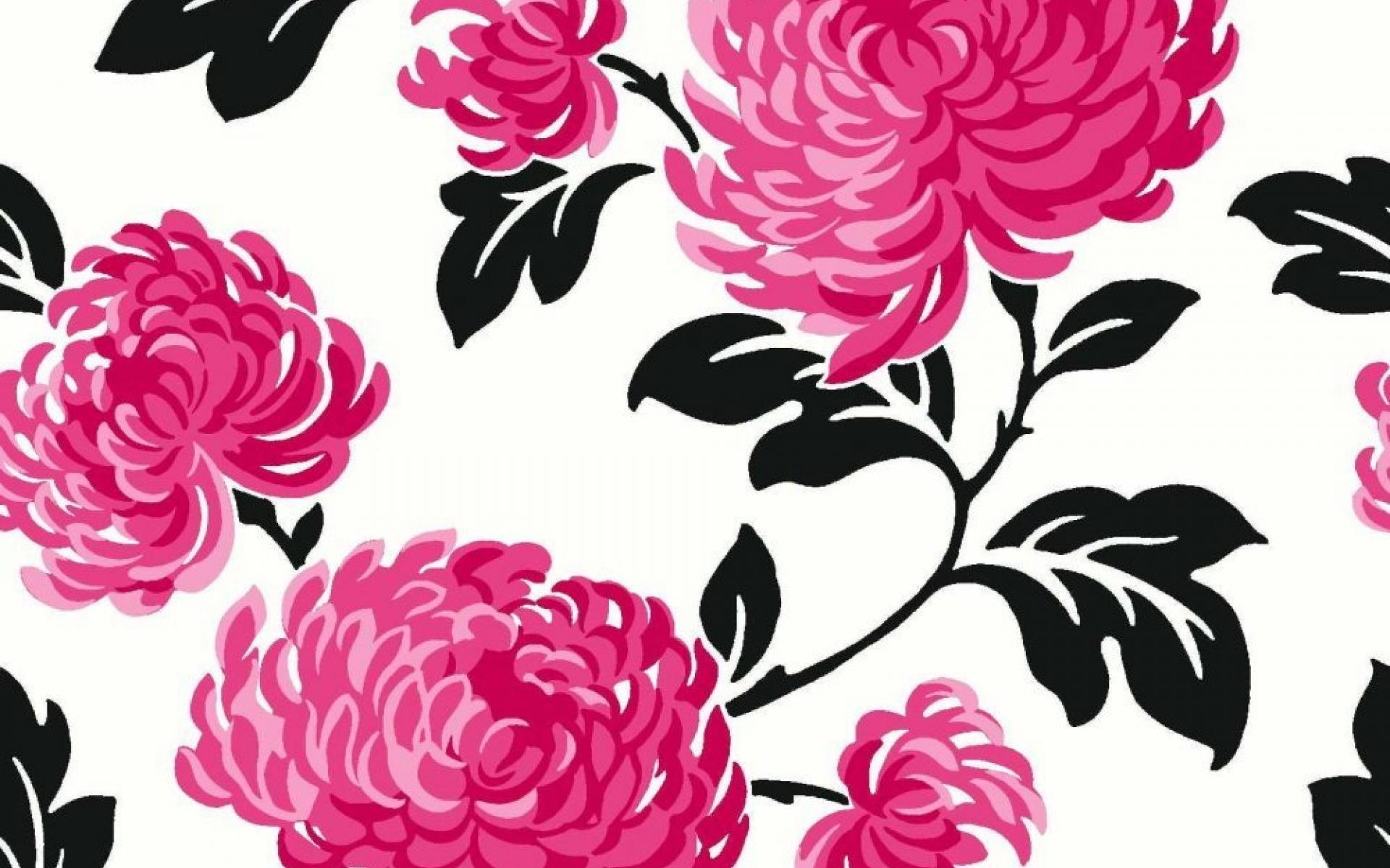 Light Pink And Black Wallpapers