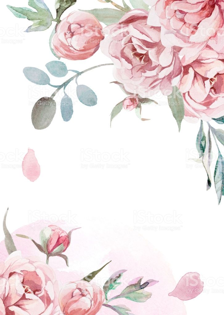 Light Pink Floral Wallpapers