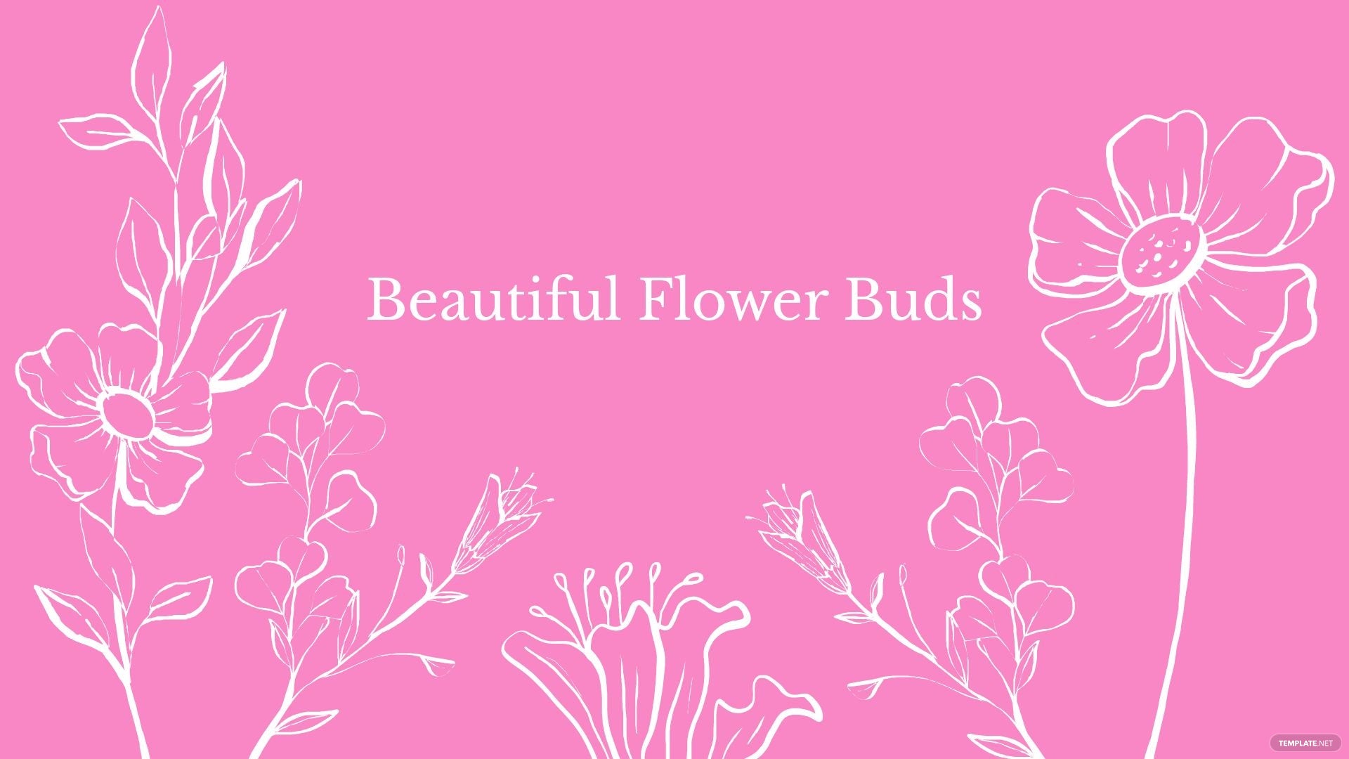 Light Pink Flowers Aesthetic Wallpapers