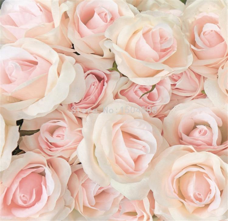 Light Pink Rose Wallpapers