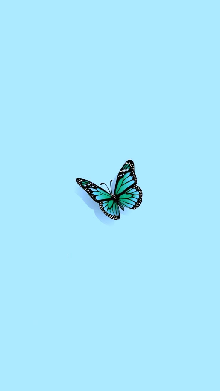 Light Teal Aesthetic Wallpapers