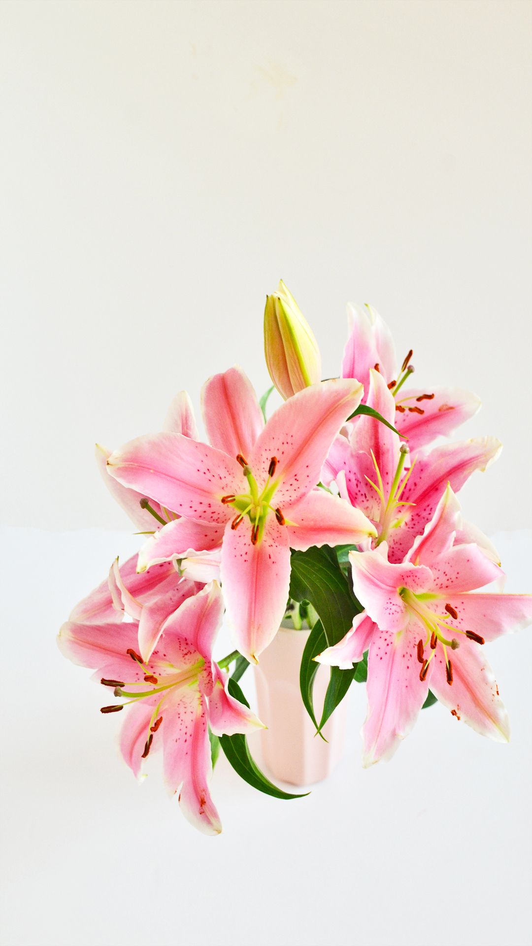 Lilies Iphone Wallpapers