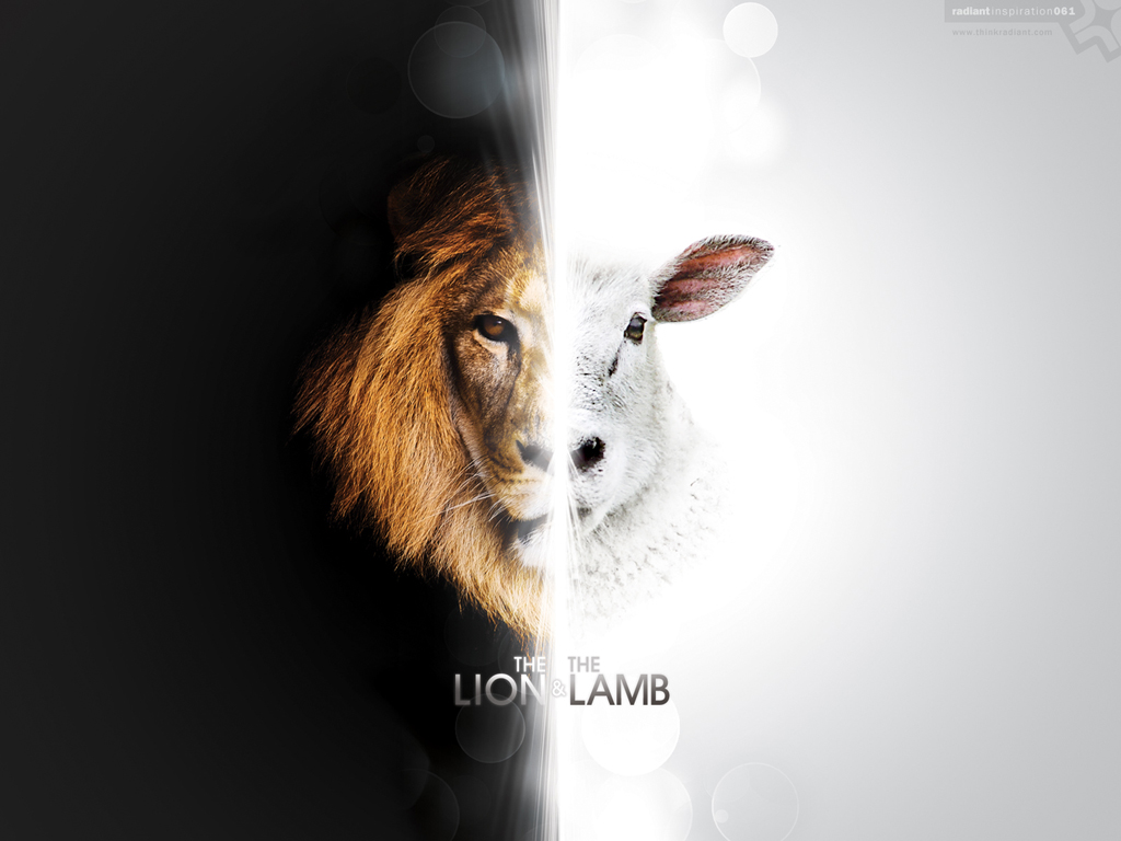 Lion And Lamb Wallpapers