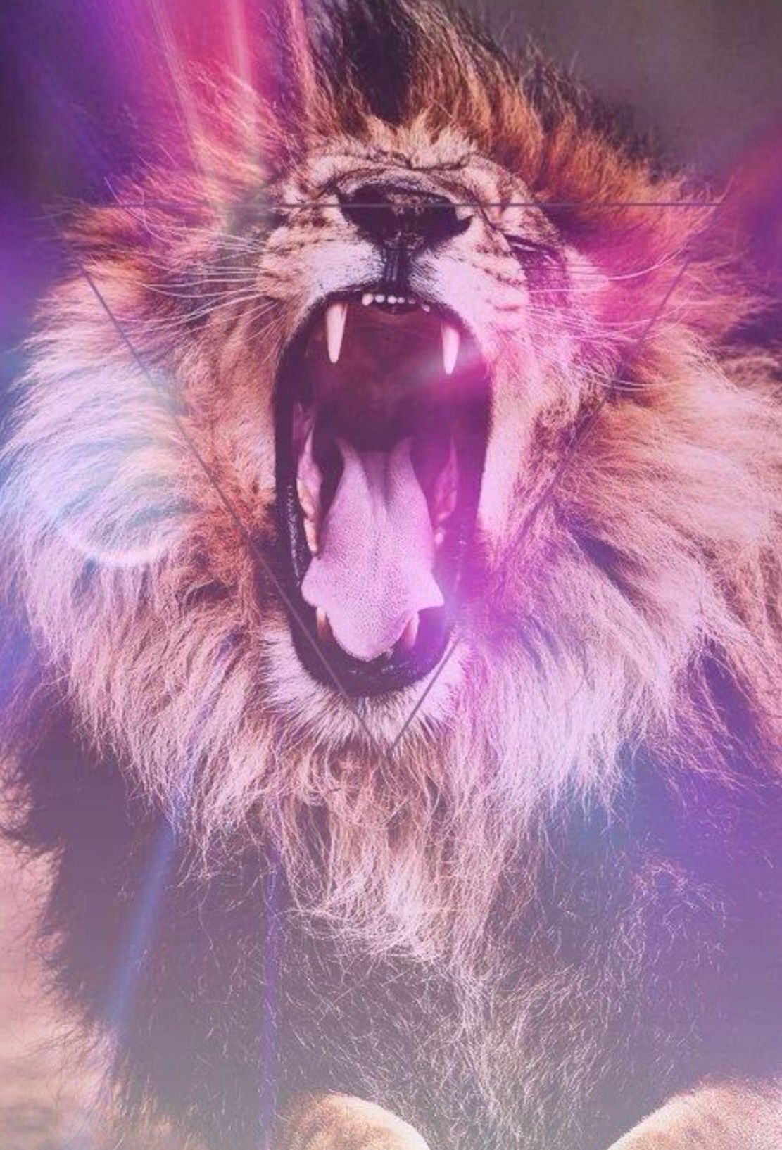 Lion Art Tumblr Wallpapers