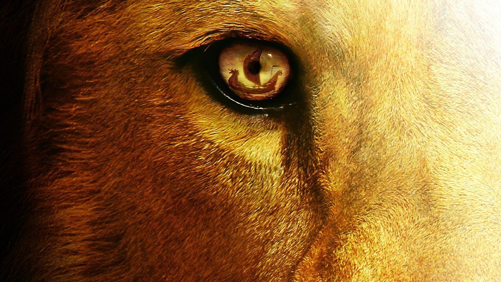 Lion Eyes Wallpapers