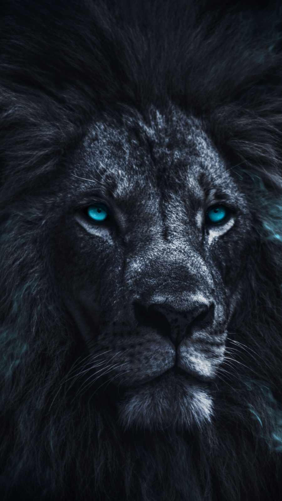 Lion Eyes Wallpapers