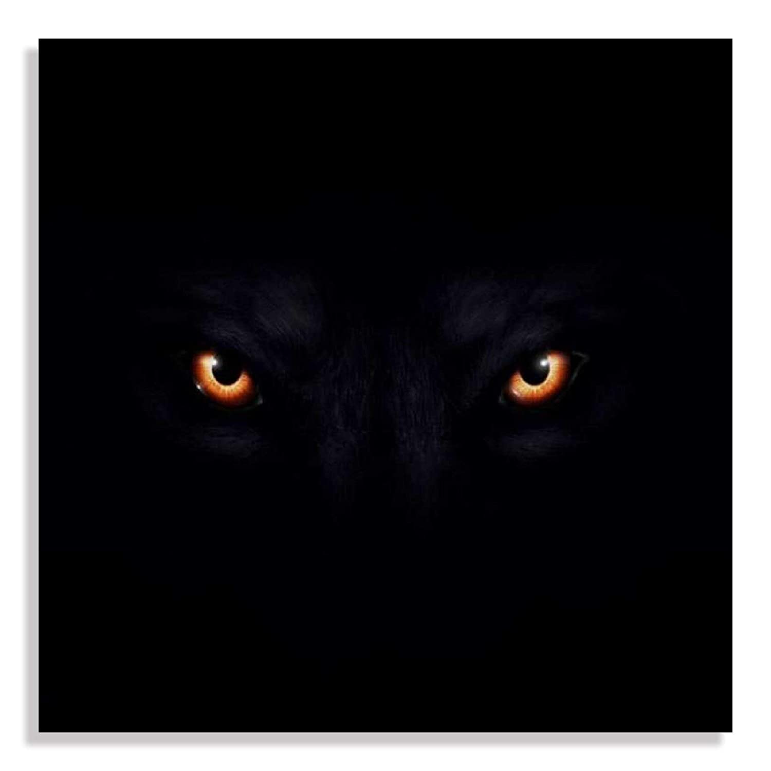 Lion Eyes Wallpapers