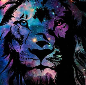 Lion Face Wallpapers