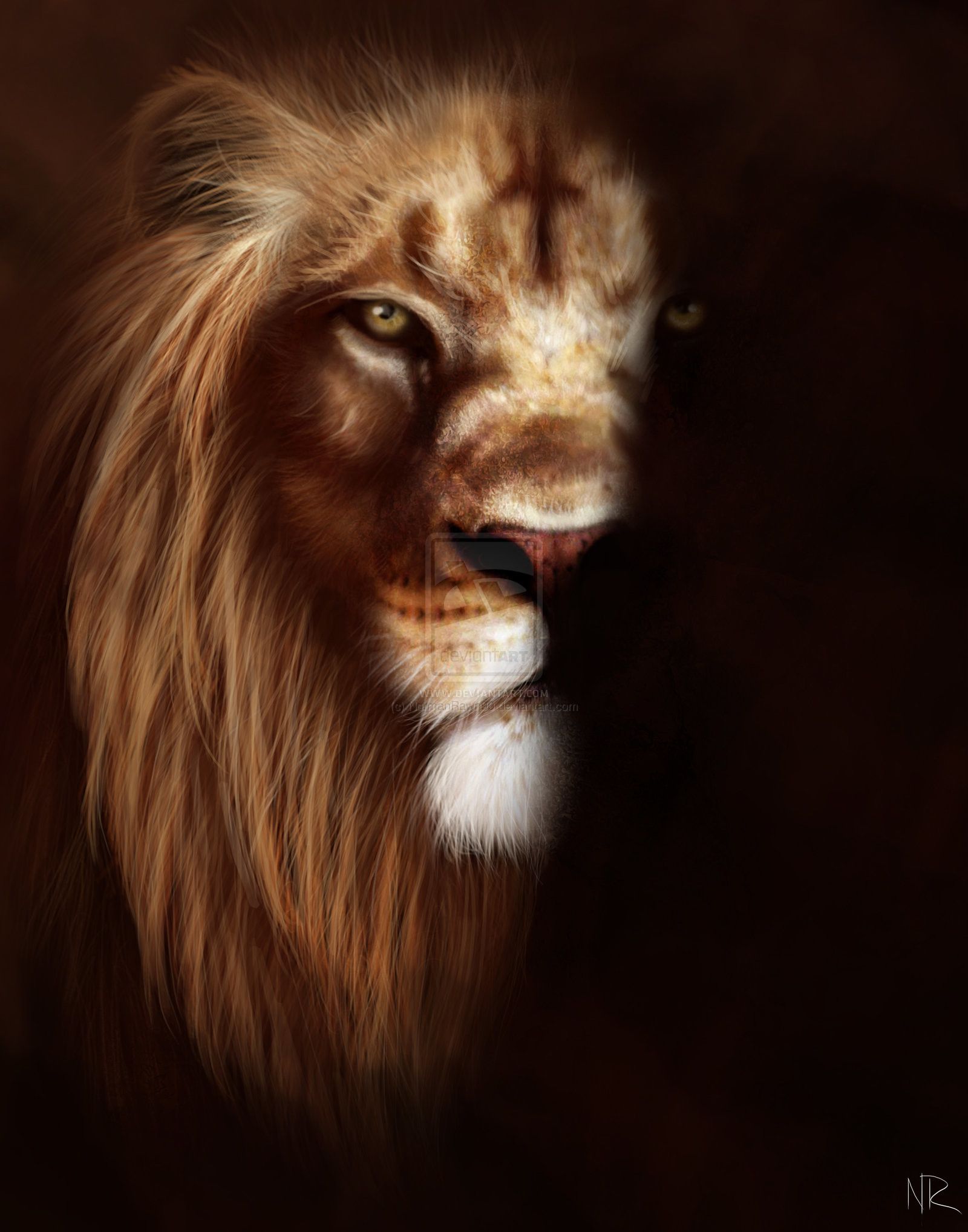 Lion Face Wallpapers