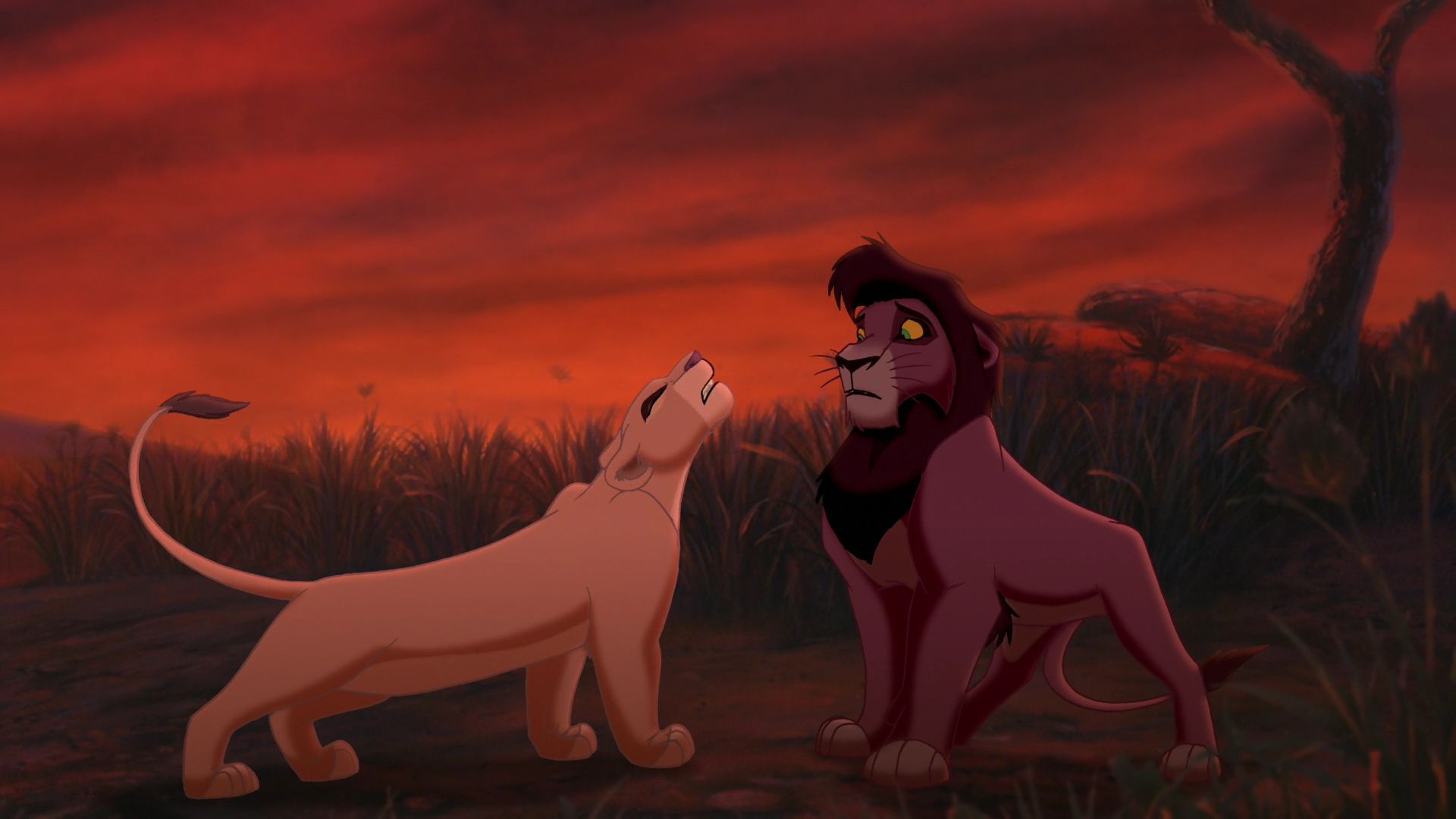 Lion King Hd Screencaps Wallpapers