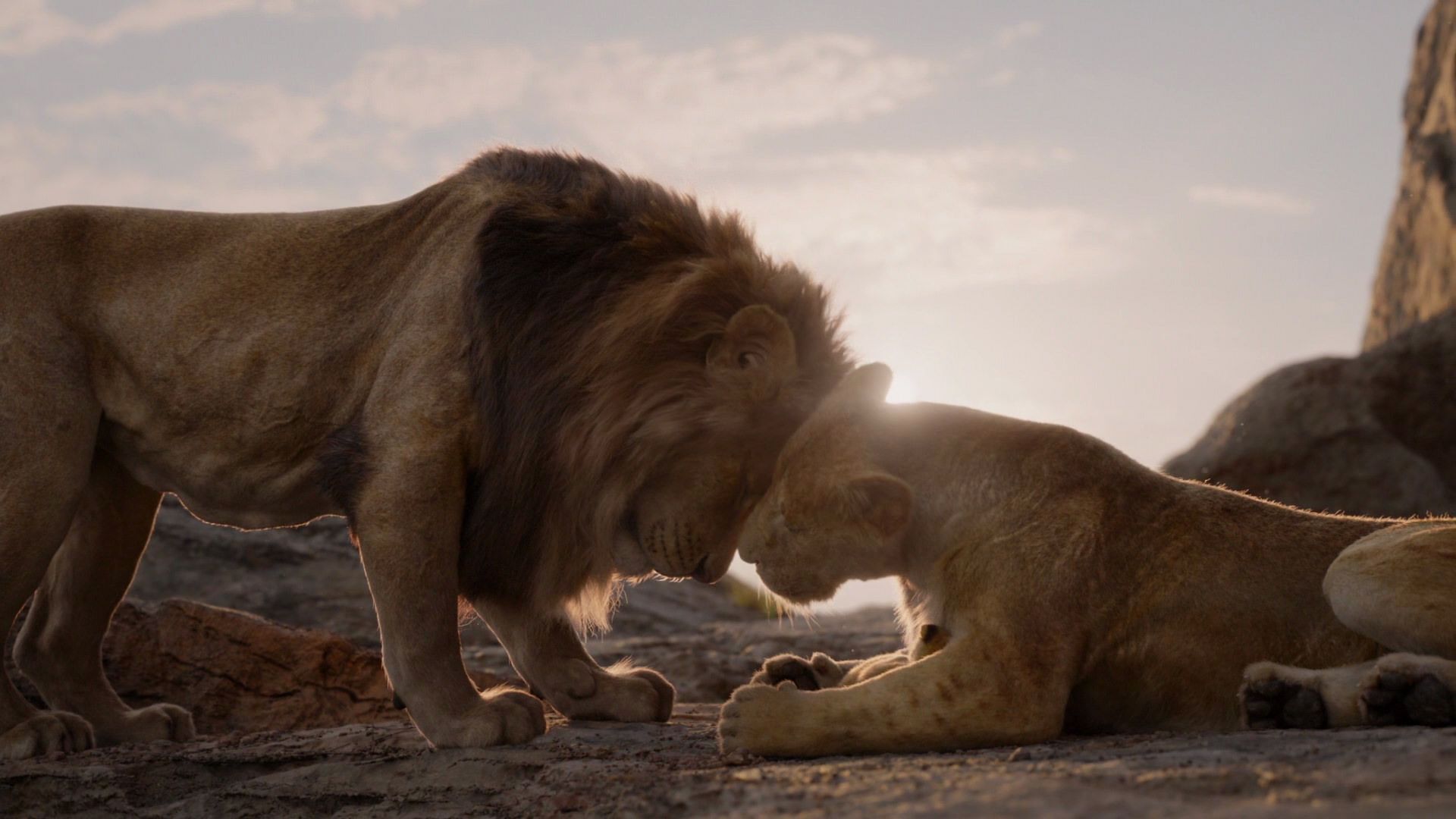 Lion King Hd Screencaps Wallpapers