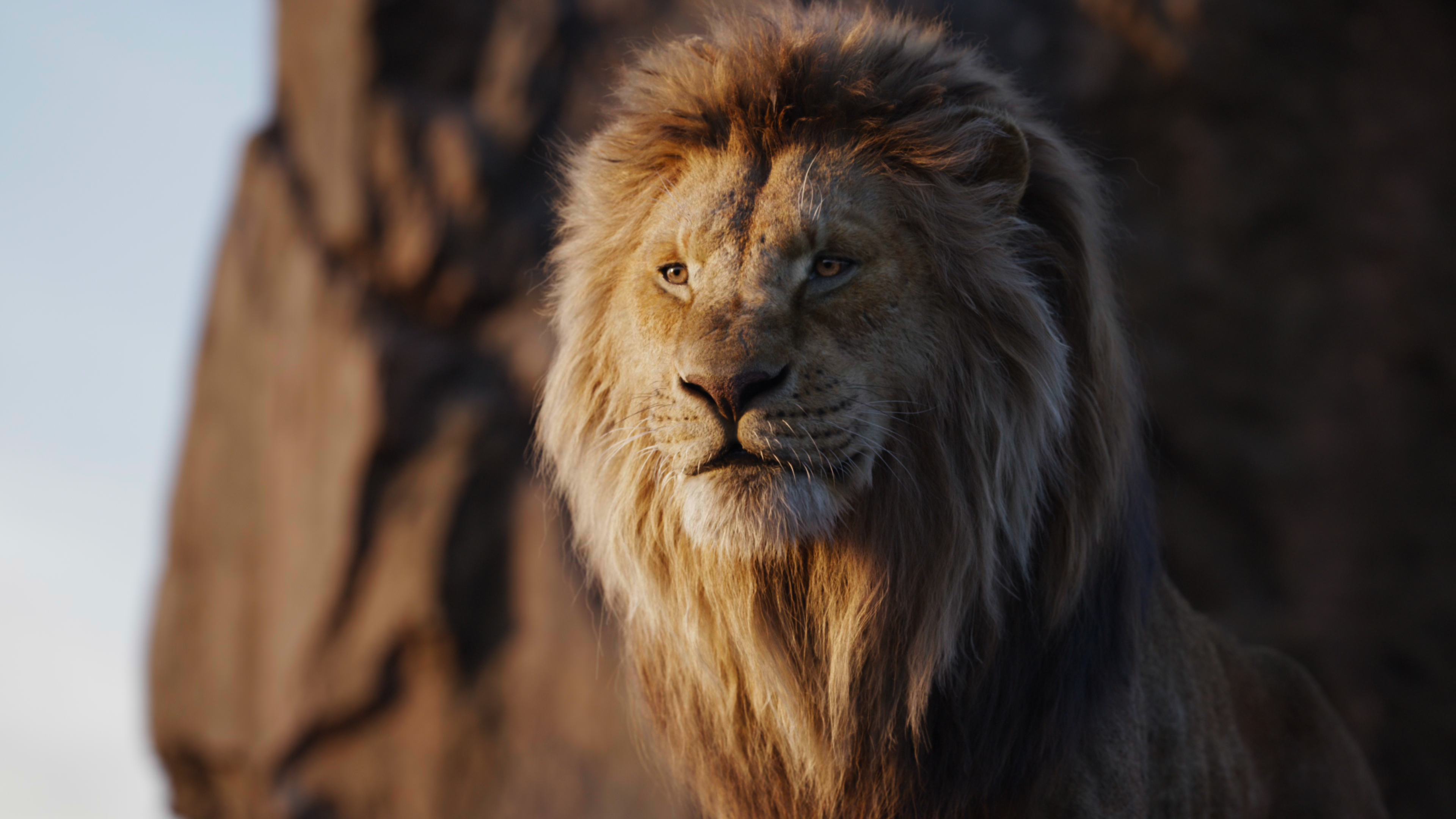 Lion King Hd Screencaps Wallpapers