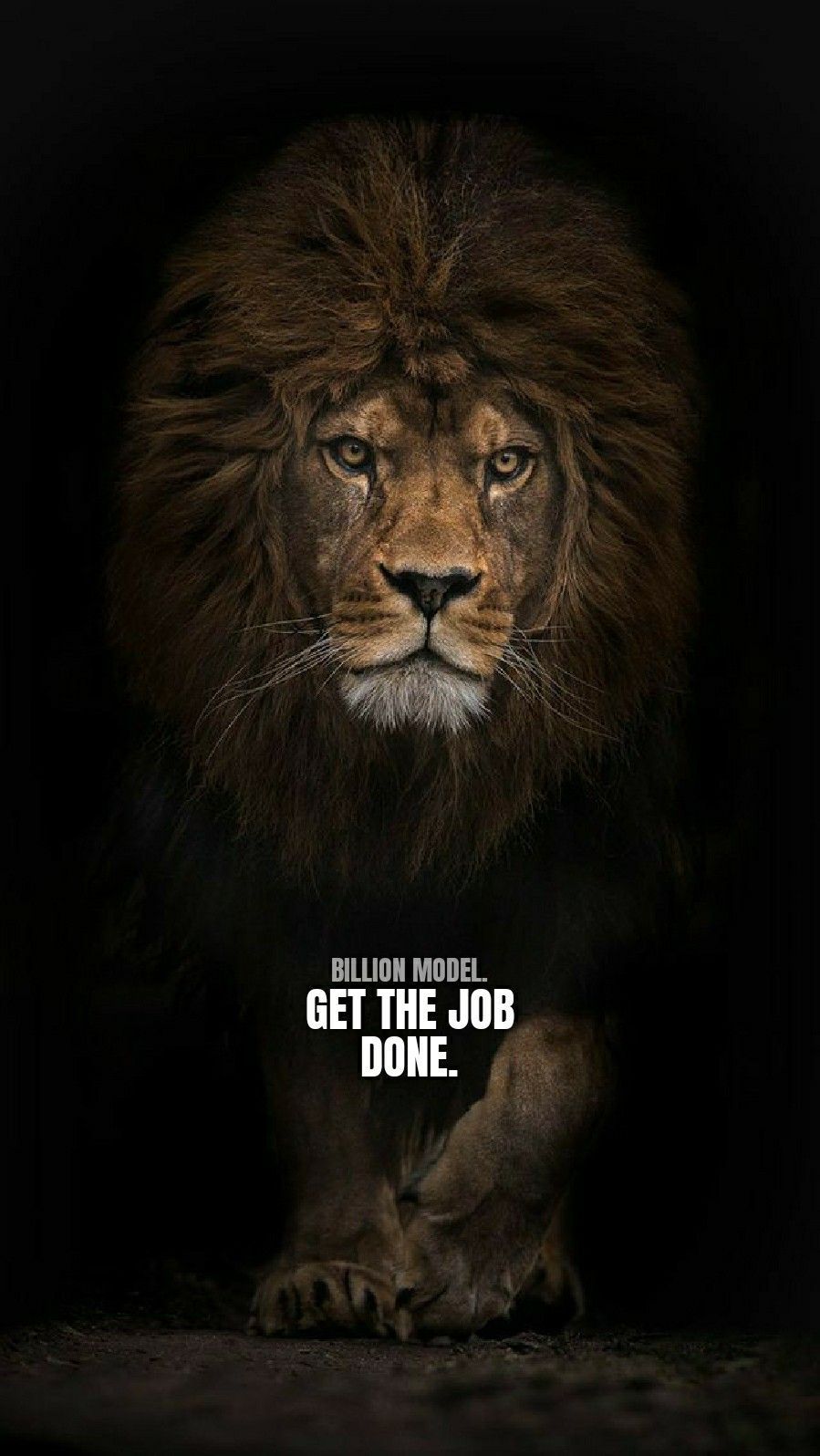 Lion Mentality Wallpapers