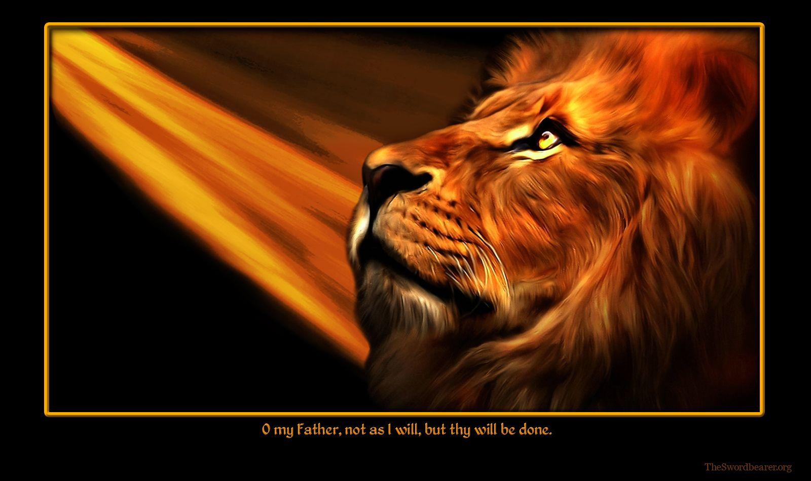 Lion Of Judah Wallpapers