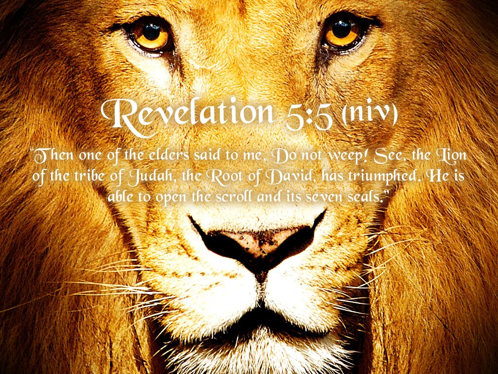 Lion Of Judah Wallpapers