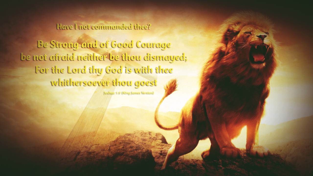 Lion Of Judah Wallpapers