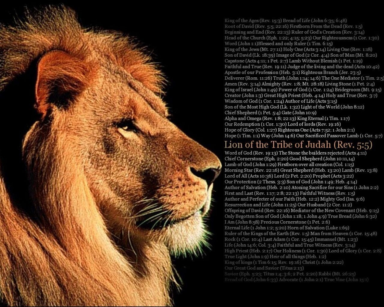 Lion Of Judah Wallpapers