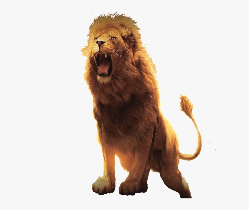 Lion Of Judah Wallpapers