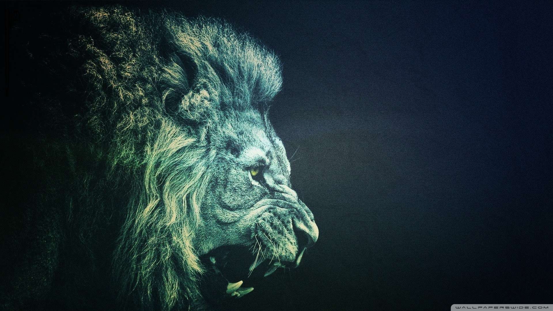 Lion Pc Wallpapers