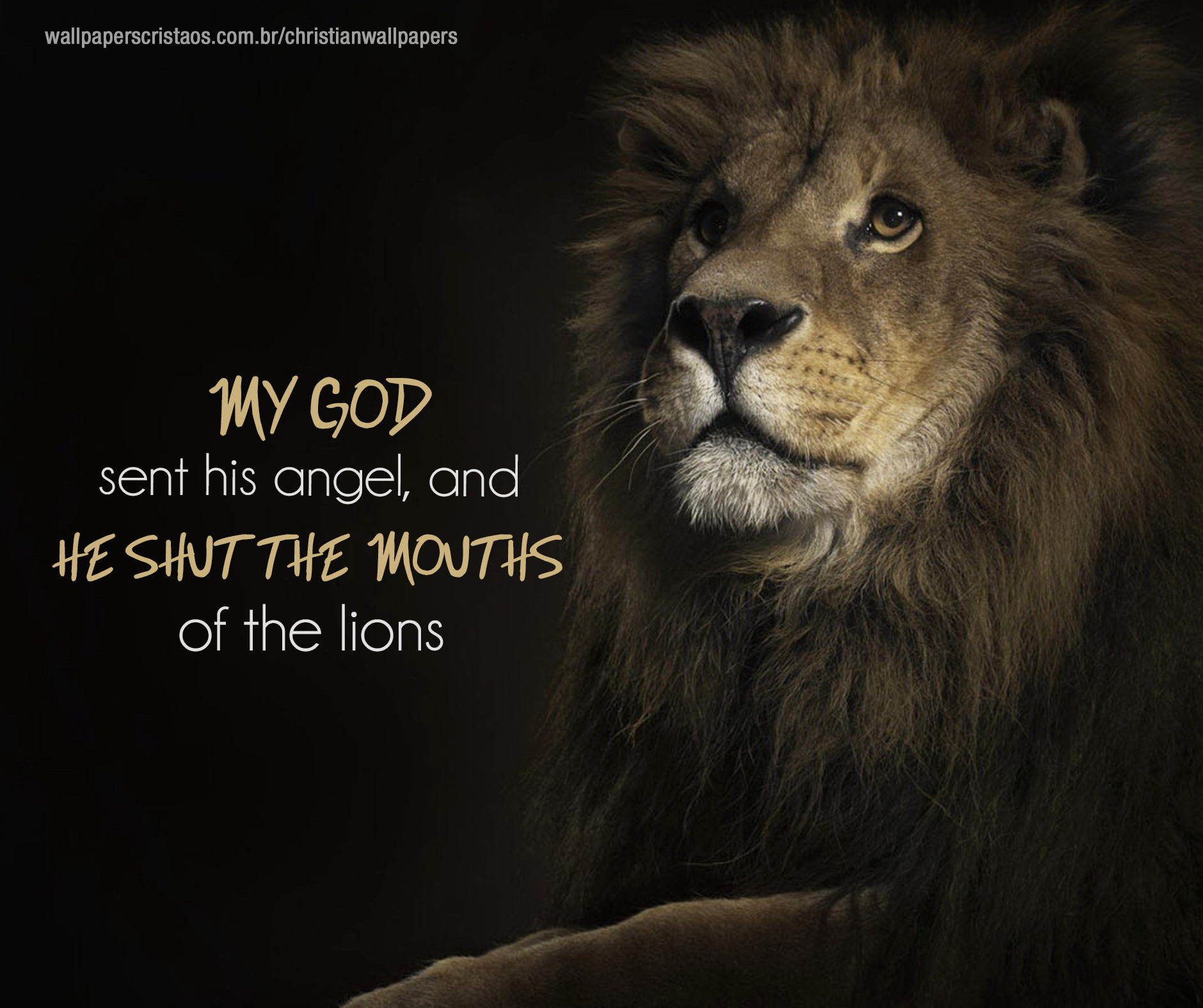 Lion Quotes Wallpapers