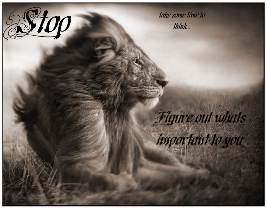 Lion Quotes Wallpapers