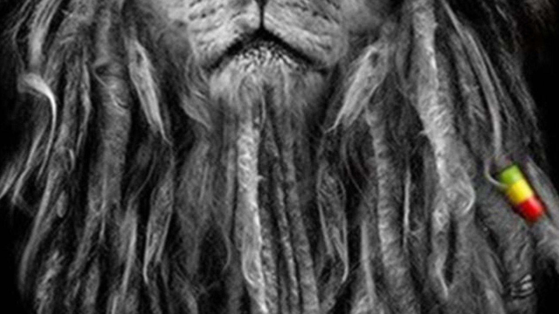 Lion Reggae Wallpapers