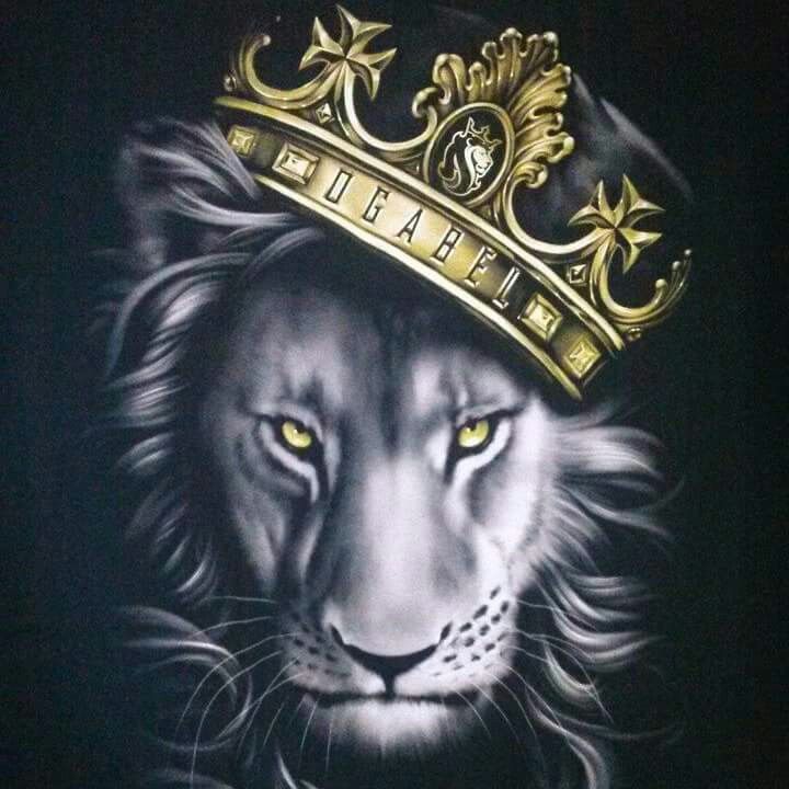 Lion With Crown Wallpapers