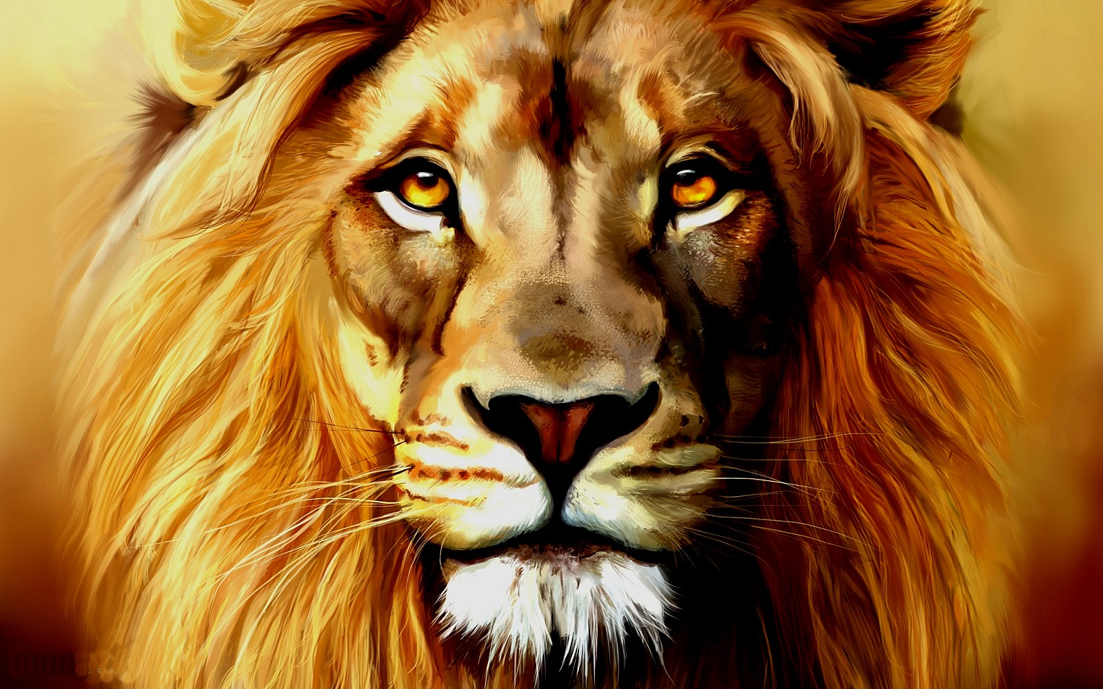 Lions Head Wallpapers