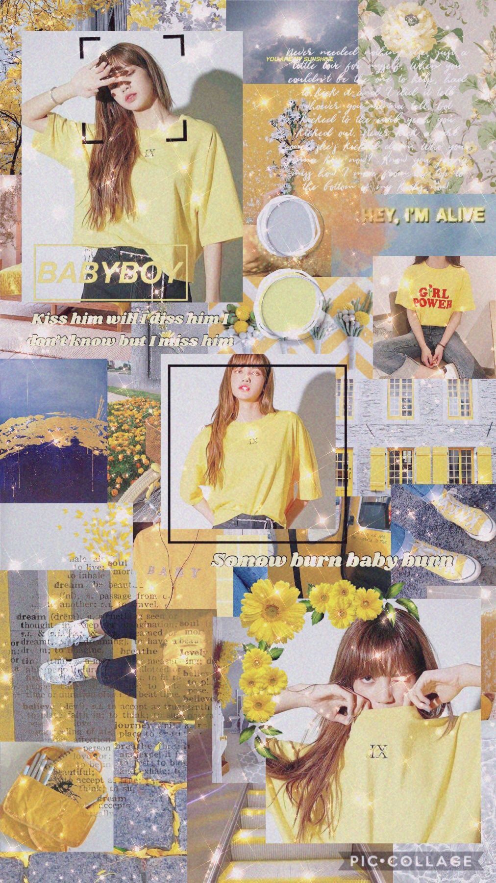 Lisa Aesthetic Wallpapers