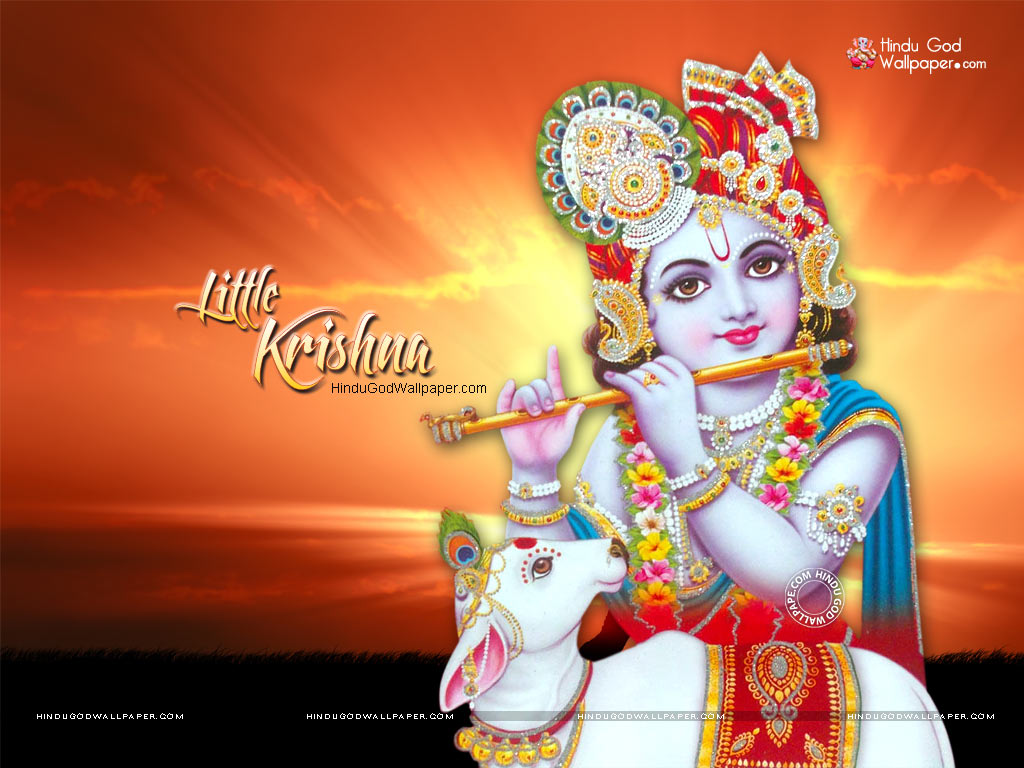 Little Krishna Pictures Wallpapers