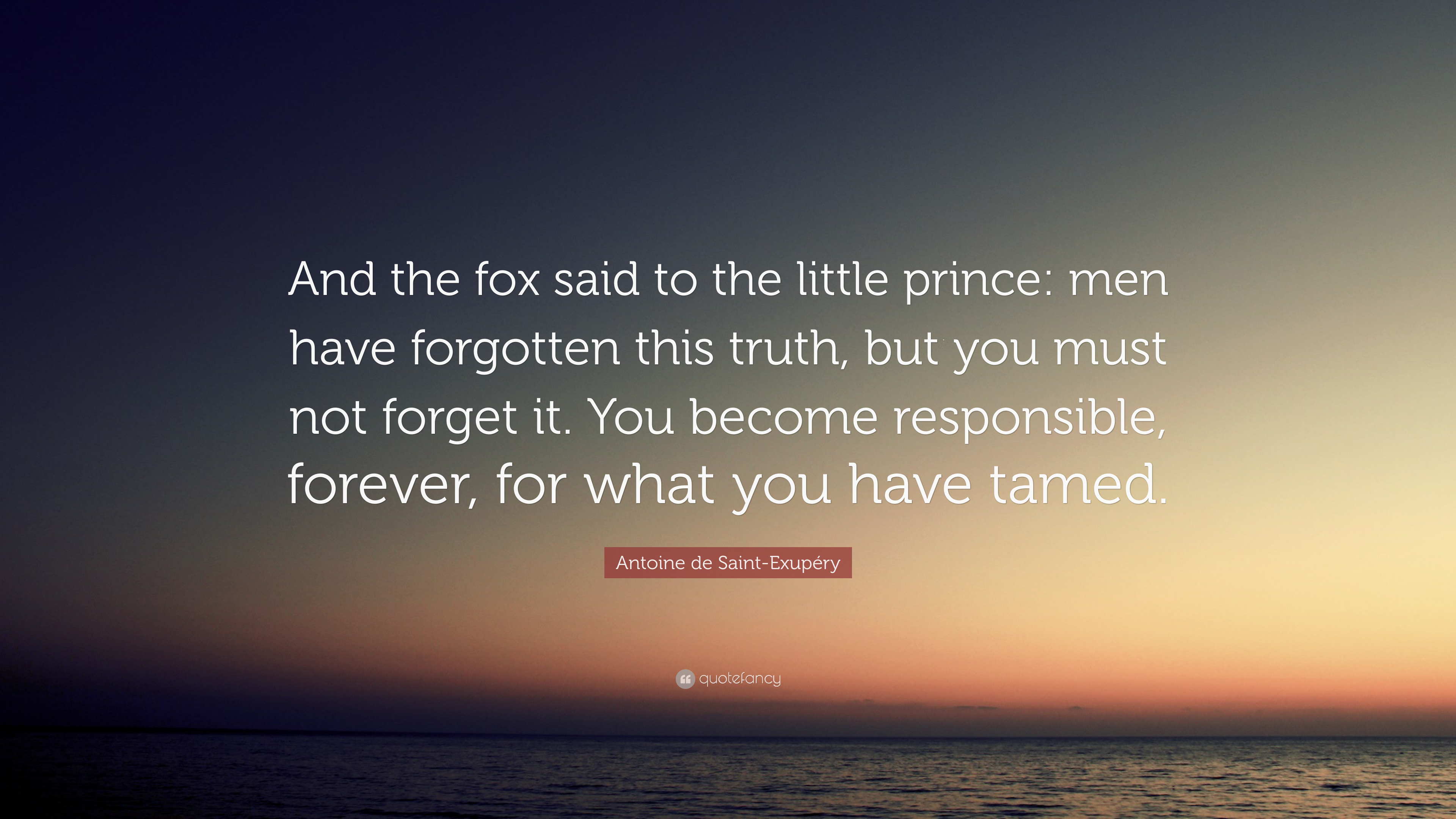 Little Prince Quotes Wallpapers