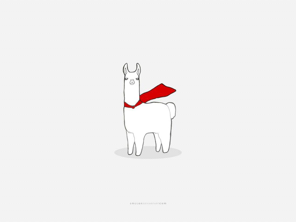 Llama Desktop Wallpapers