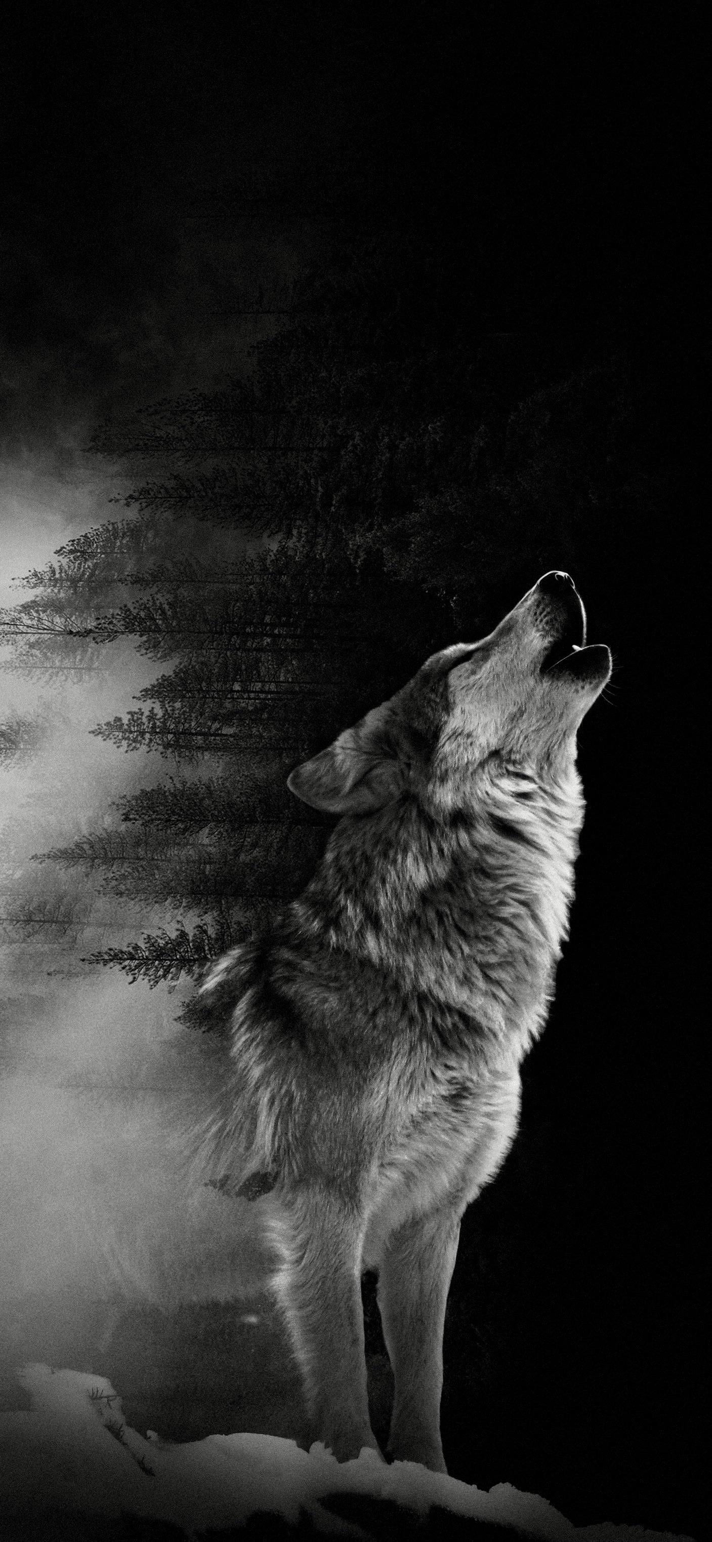 Lone Wolf Iphone Wallpapers