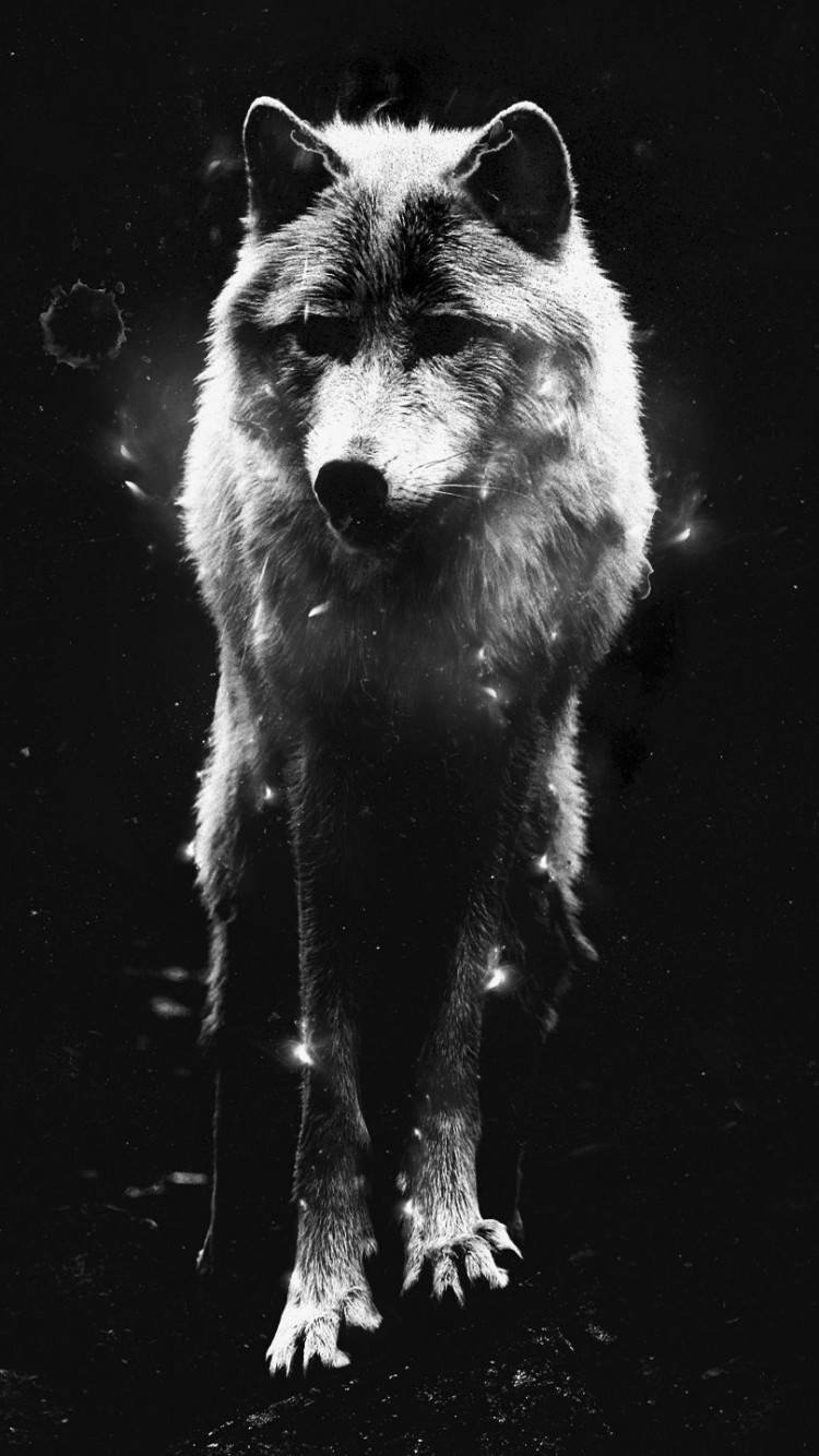 Lone Wolf Iphone Wallpapers