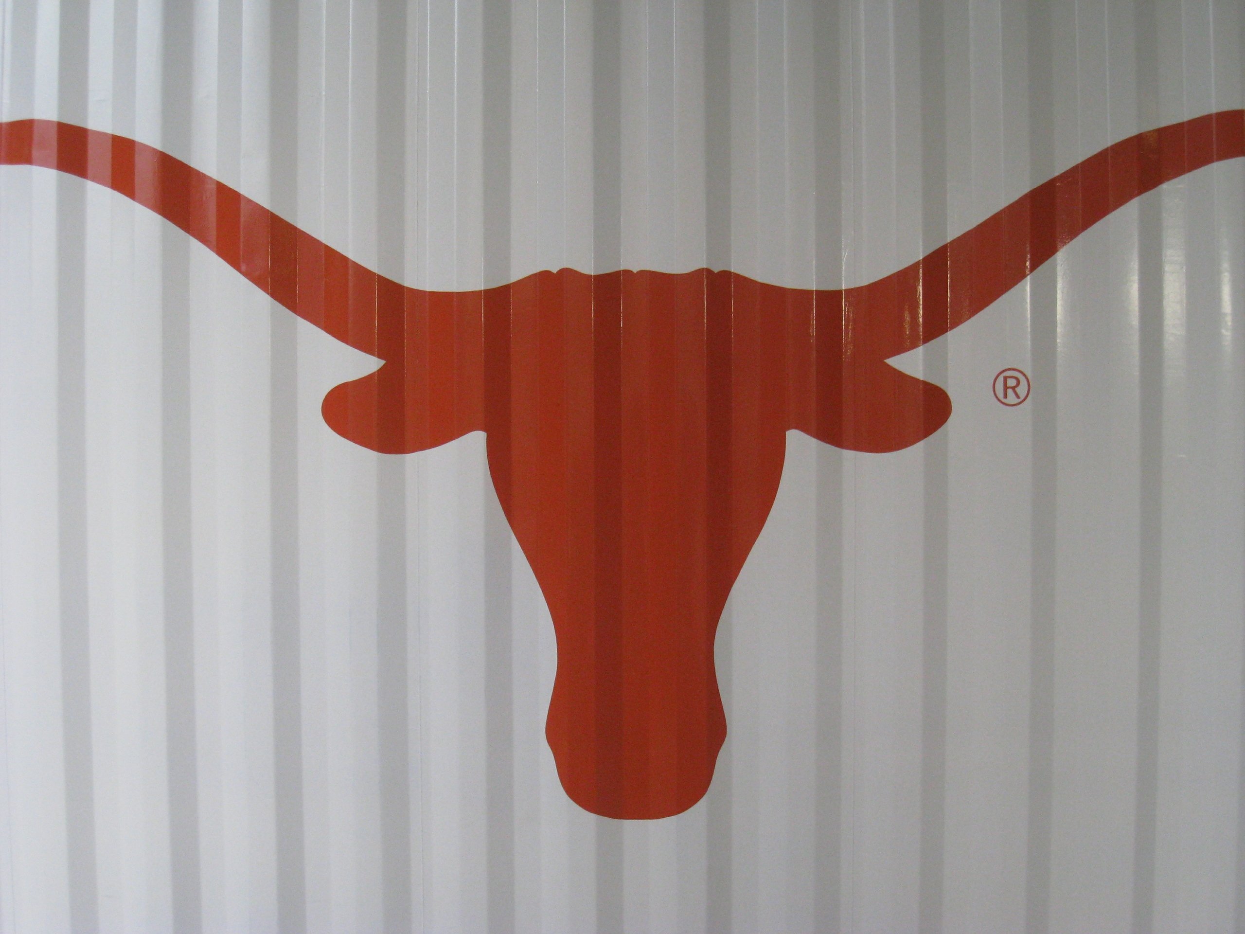 Longhorn Walpaper Wallpapers