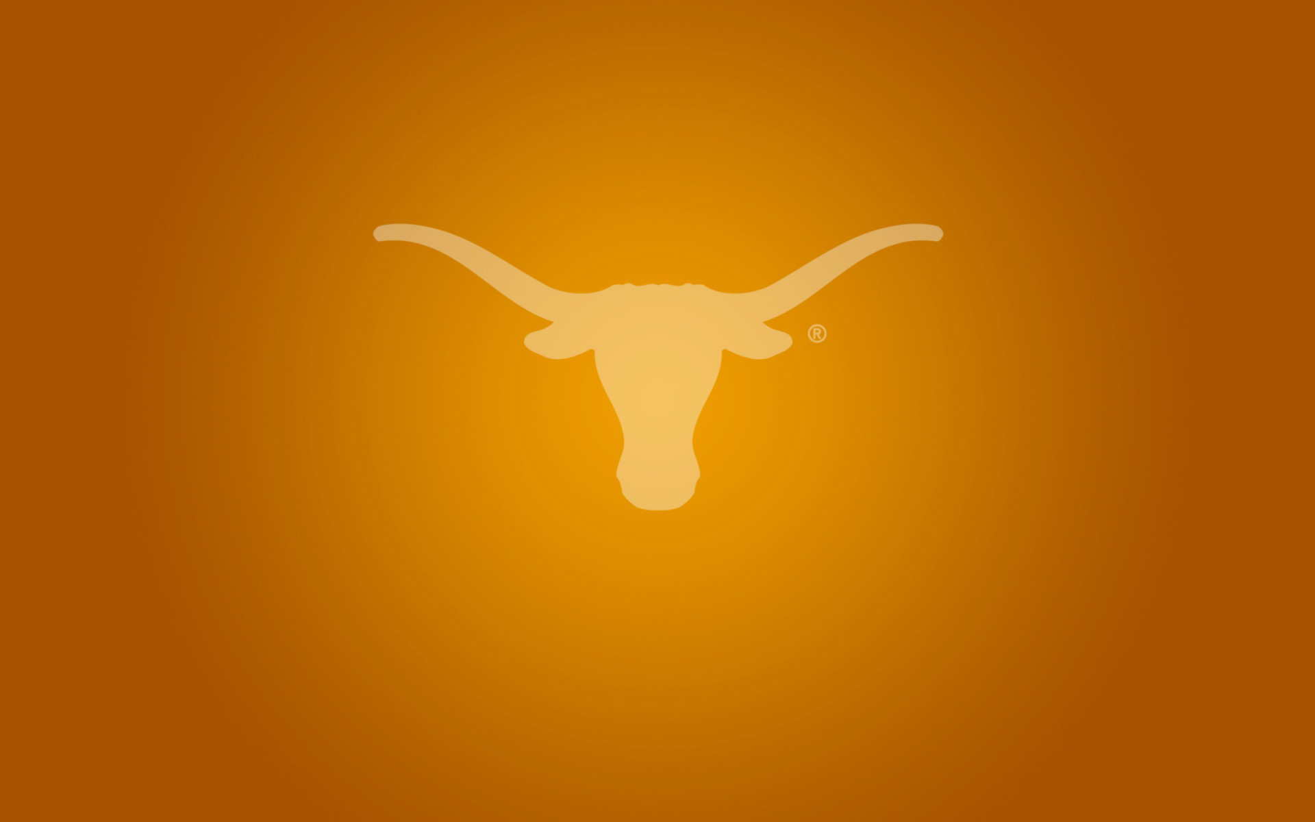 Longhorn Walpaper Wallpapers