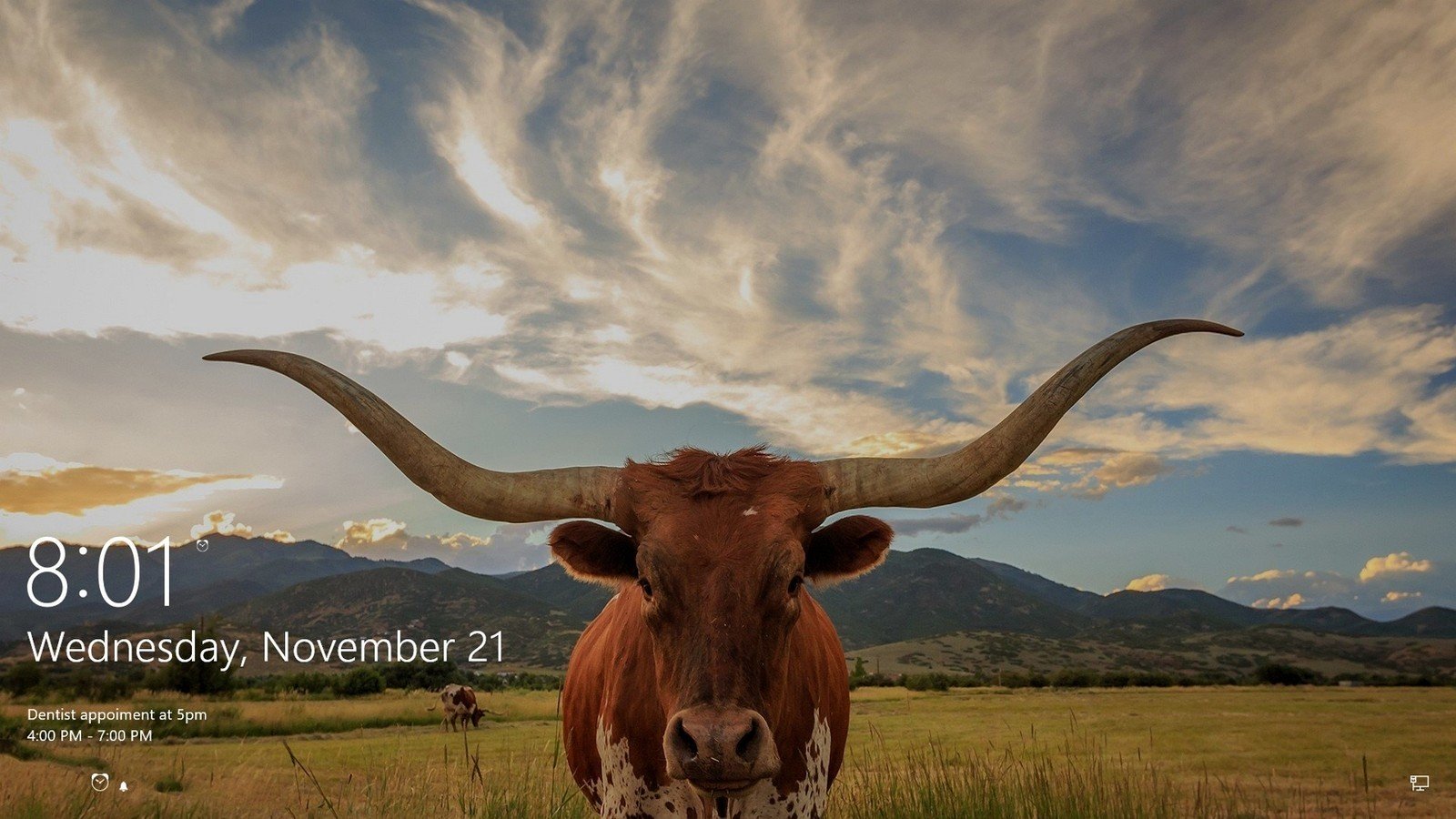 Longhorn Walpaper Wallpapers