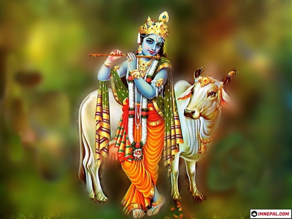 Lord Krishna Images Hd 1080P Wallpapers