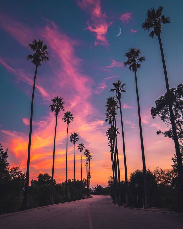 Los Angeles Sunset Wallpapers