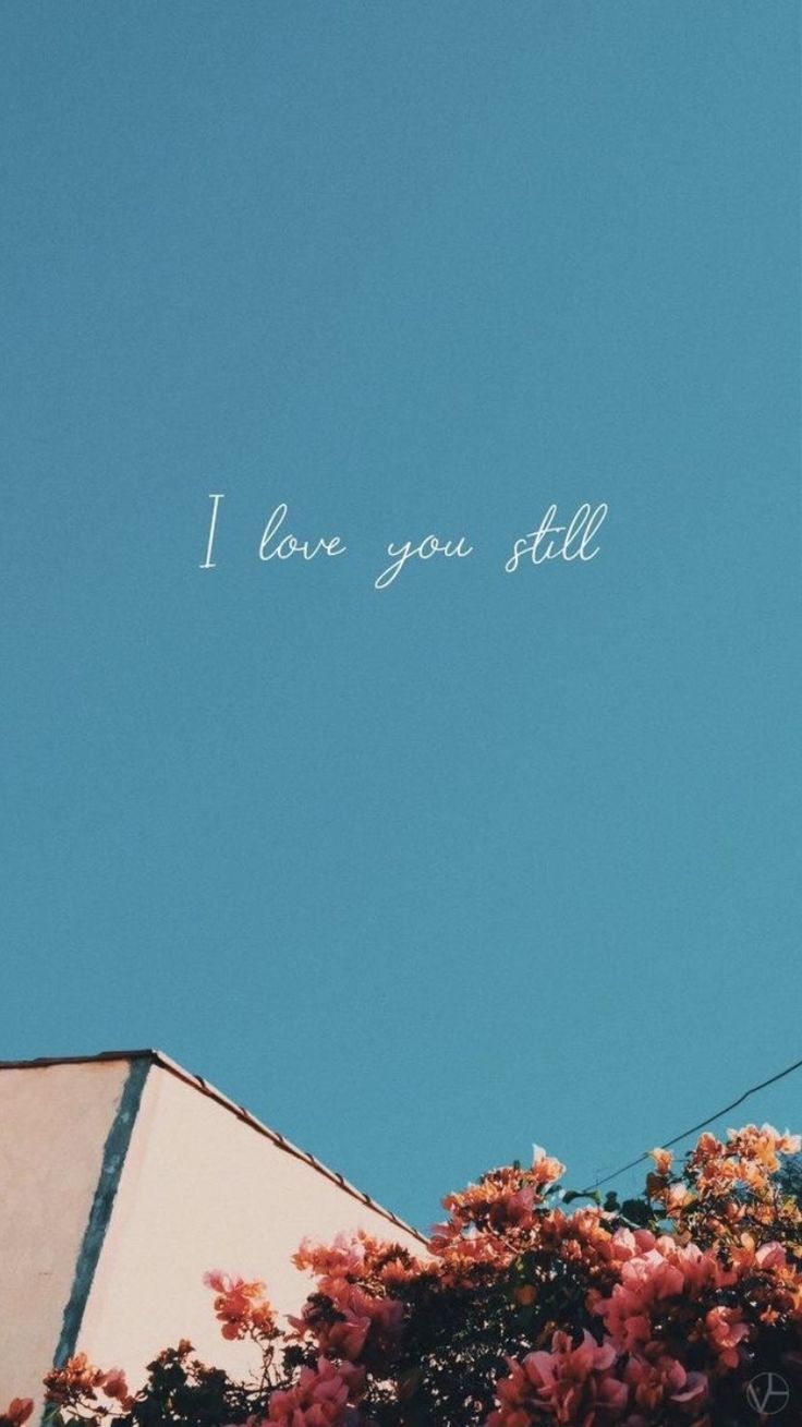 Love Aesthetic Wallpapers