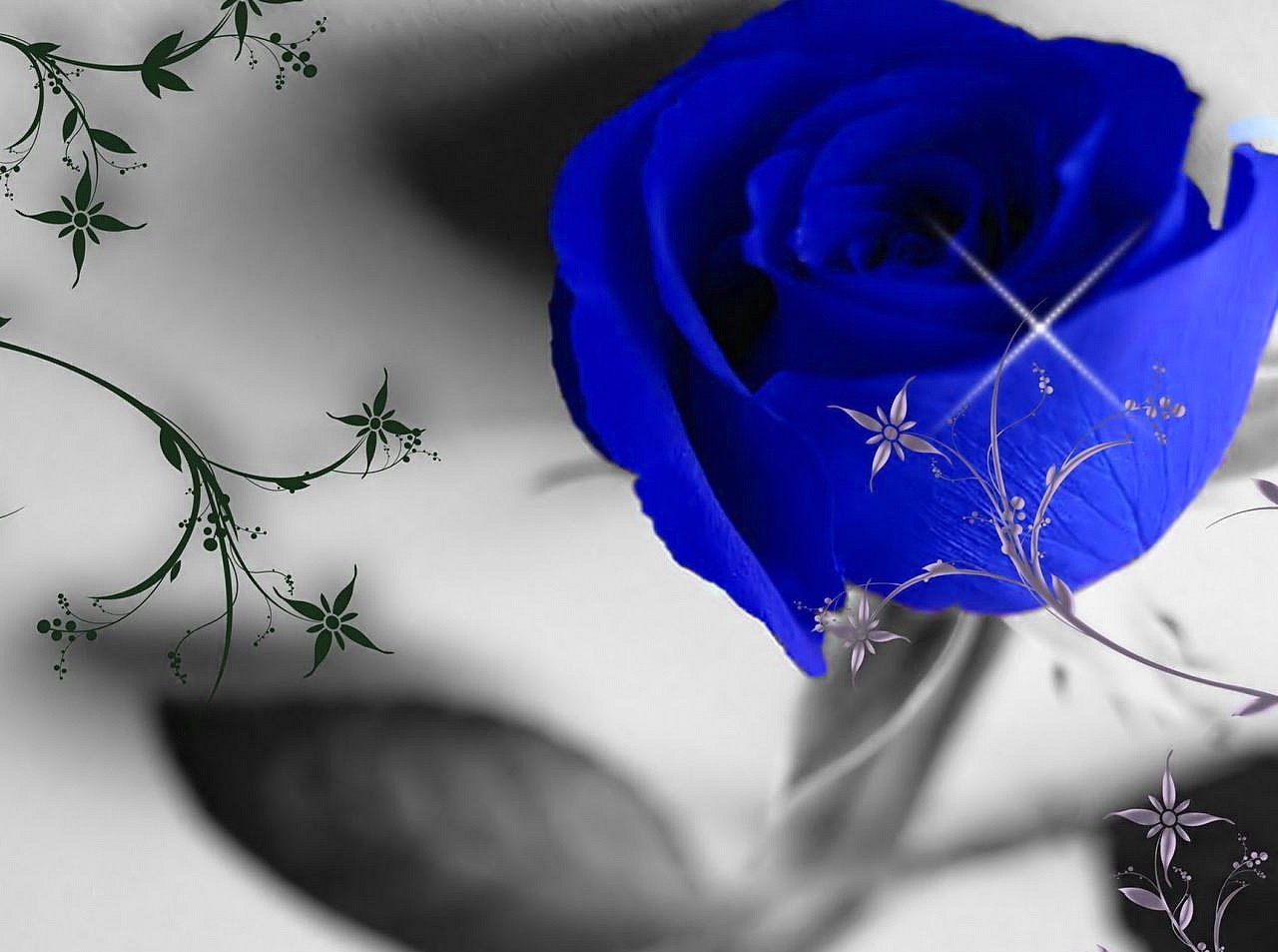 Love Blue Rose Wallpapers