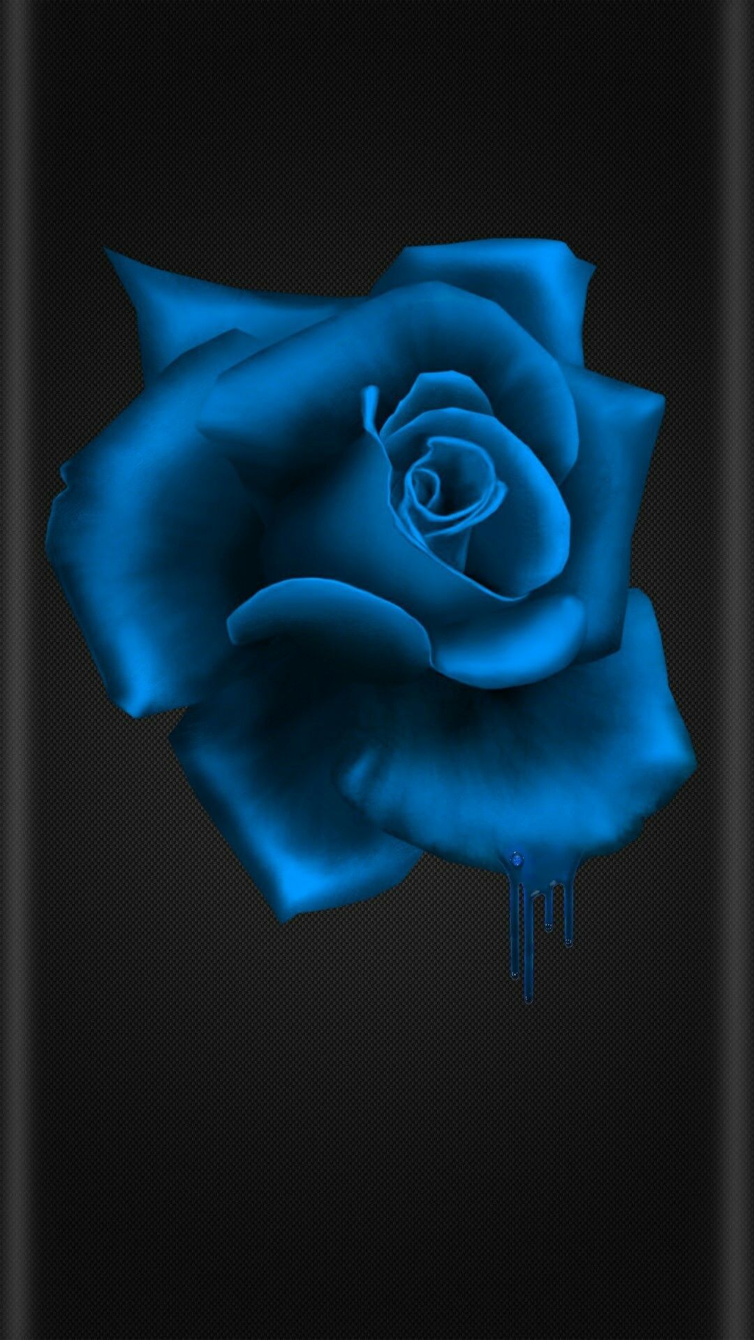 Love Blue Rose Wallpapers