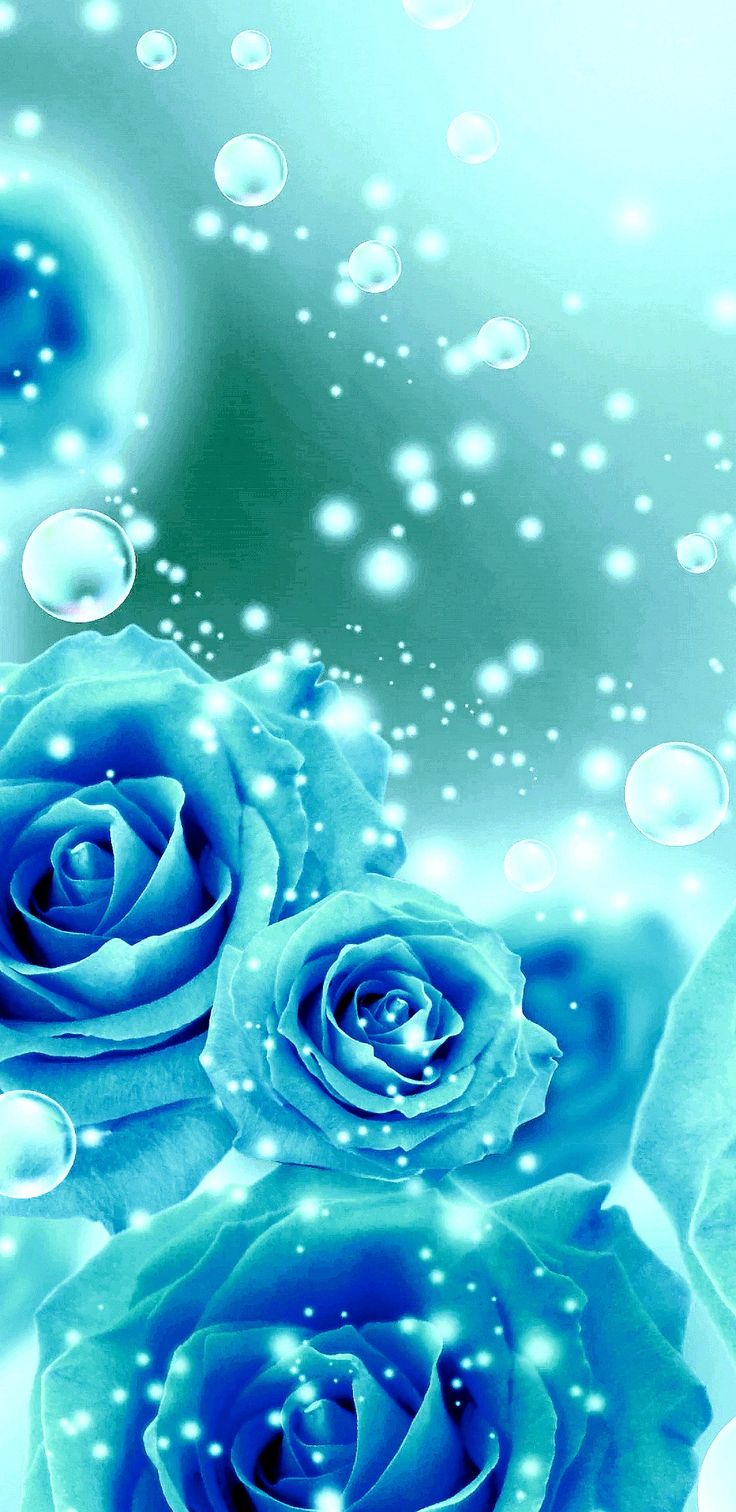 Love Blue Rose Wallpapers