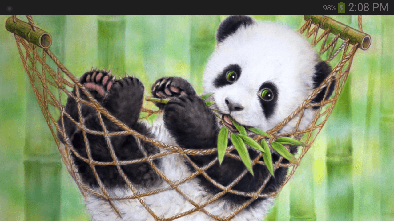 Love Panda Images Wallpapers
