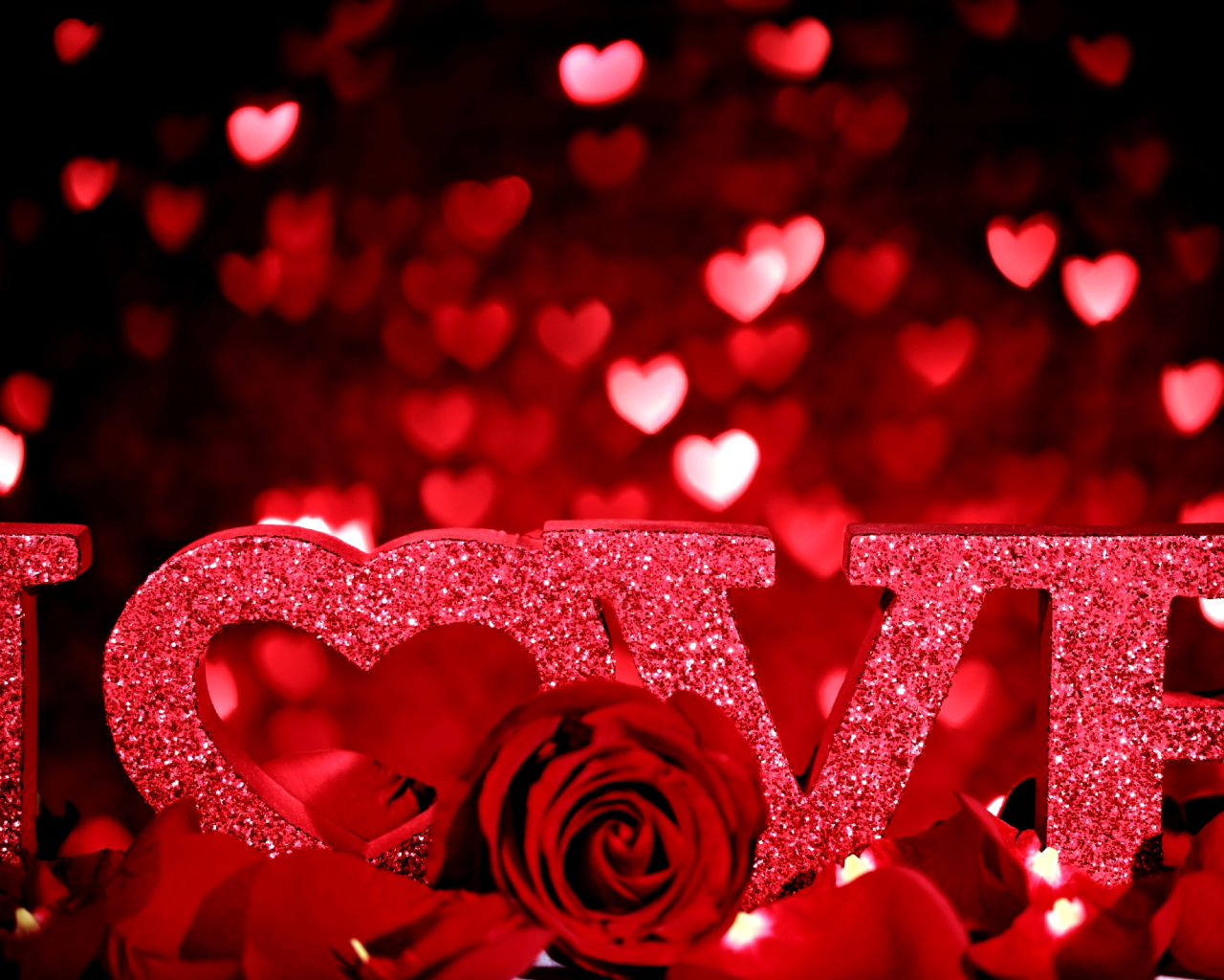 Love Red Rose Wallpapers