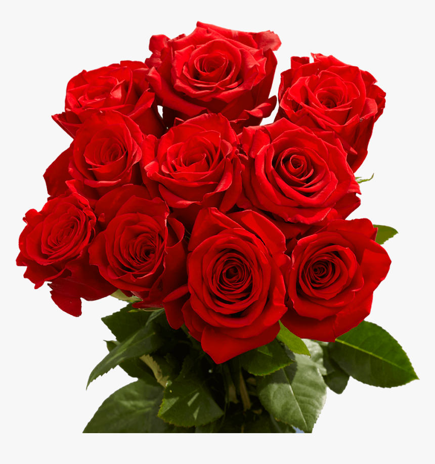 Love Red Rose Wallpapers