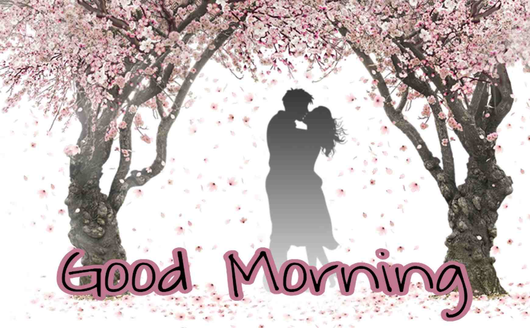 Love Romance Love Good Morning Images Wallpapers