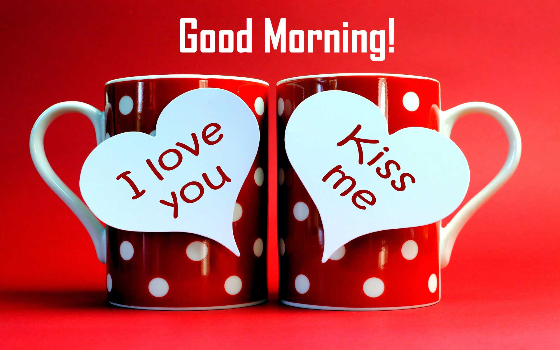 Love Romance Love Good Morning Images Wallpapers