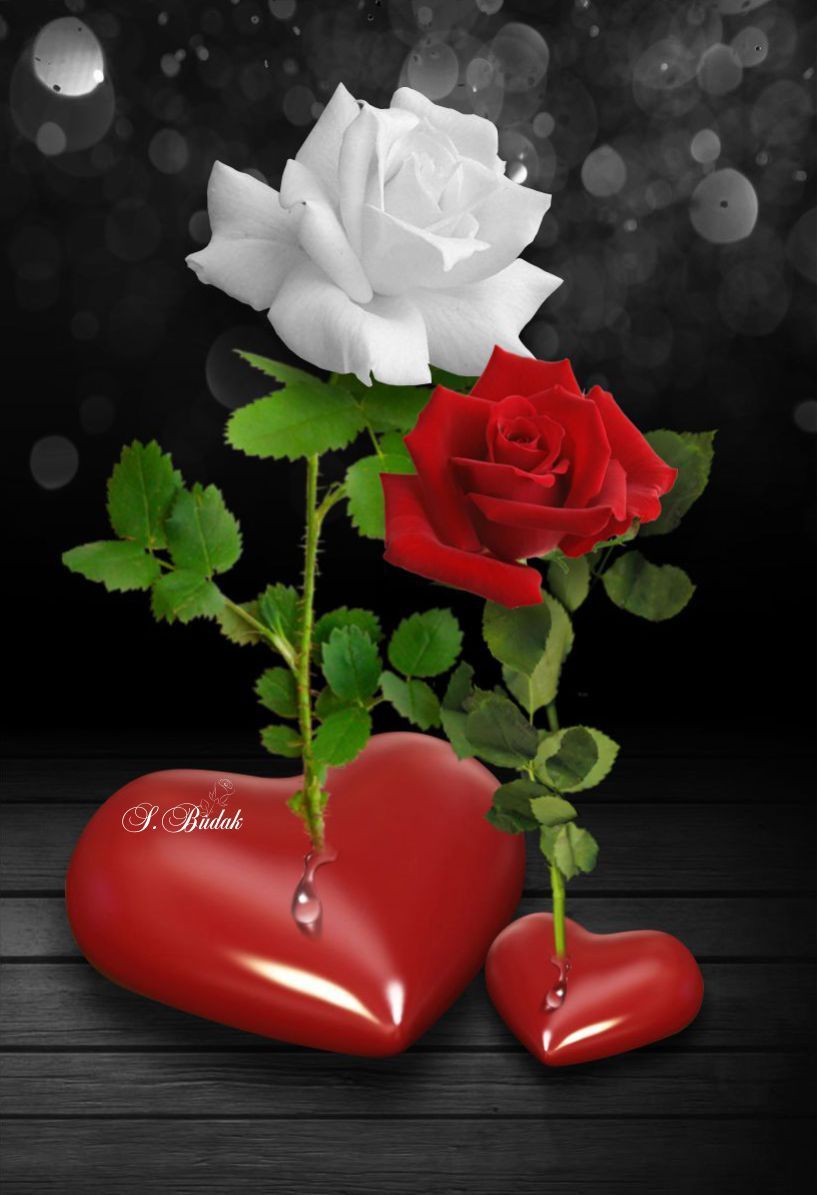 Love Romantic Rose Wallpapers