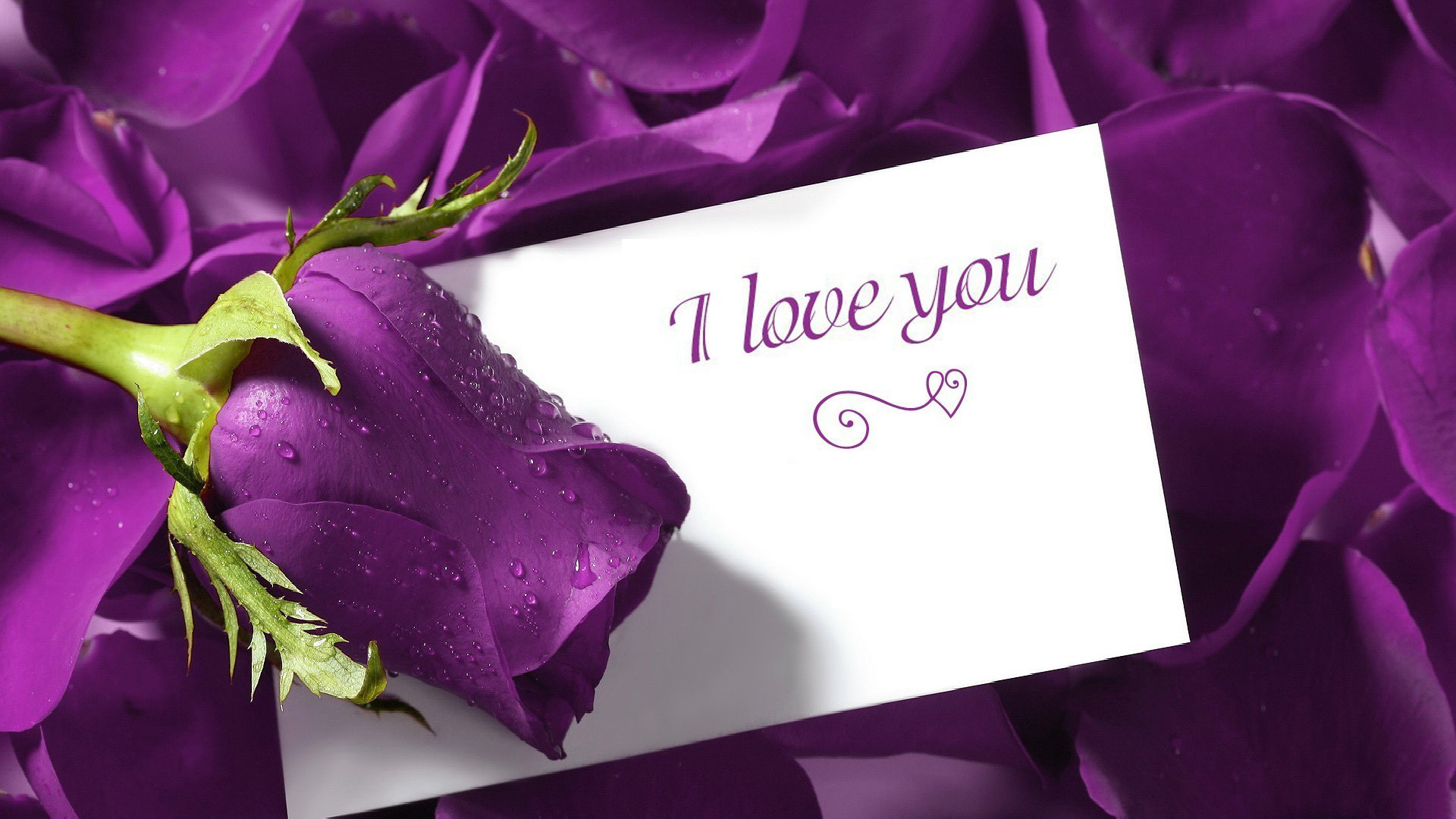 Love Romantic Rose Wallpapers